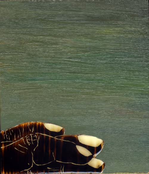 Item #83537820158197579288683679296722743106348371715068758034174859270903665000449 Media