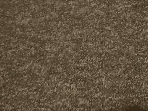 carpet
