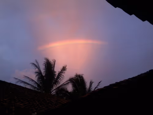 Item #63019196956774185090226425694446657757047409313451848138379536460626201159440 Media