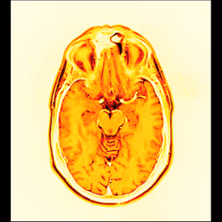 64162533542198579898252916190583583845604629893829087458582976339528785068033