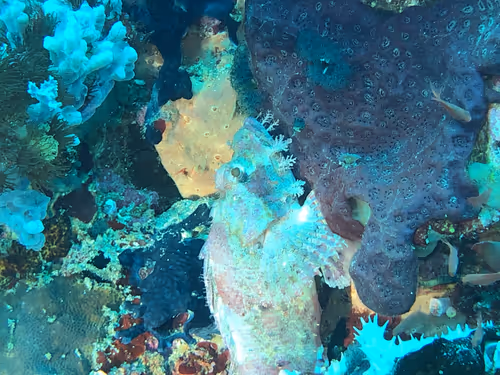 Item #80965803268169370603932631570667161375508893671094224909166964320626481823745 Media