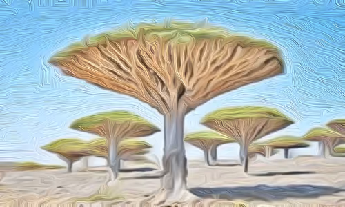 Item #24641453839621982763882949117927398230661196561047831968327781406940529164289 Media