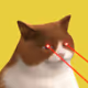 92303754708890637460830726684637459069028556254635882445686513101900684984321