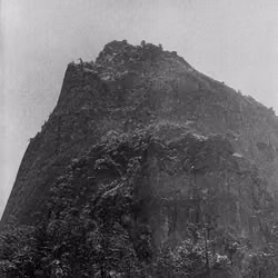 THE PEAK