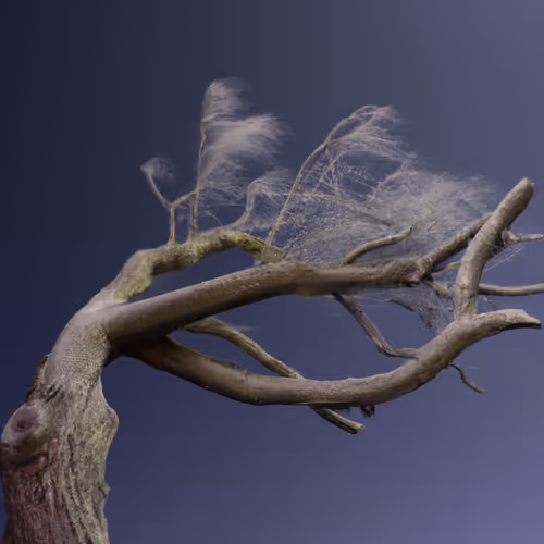 Item #103128930170898132991886606522582291668760983945407240103667963383387795750913 Media