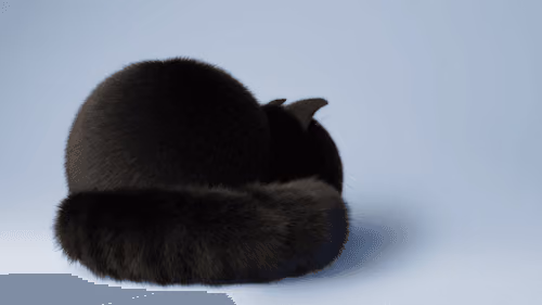 Kitten's Butt
