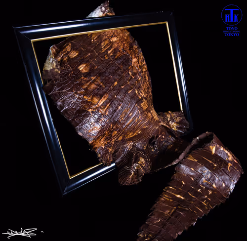 Item #65718052376404825530132698476454308049276015836189851915939897254925498843137 Media