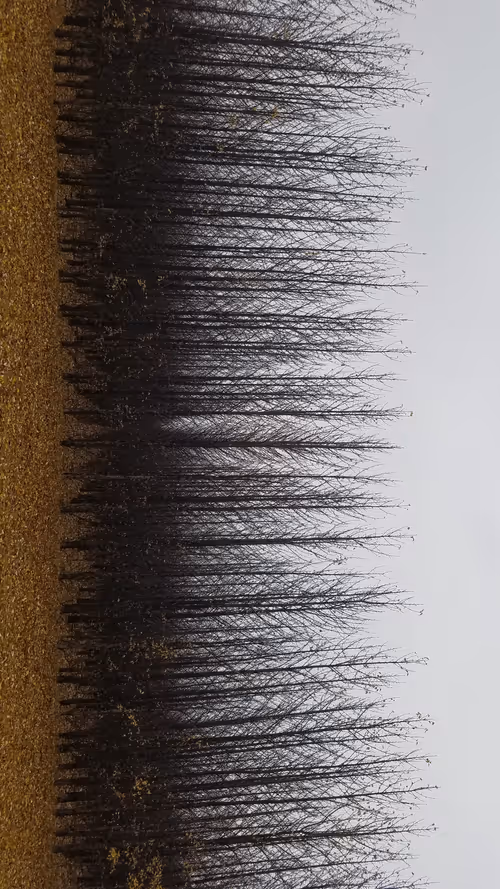 Item #21141452991235844829580702888383374661578493181426809787587219097443027124225 Media