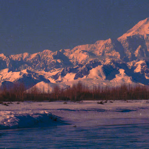 denali