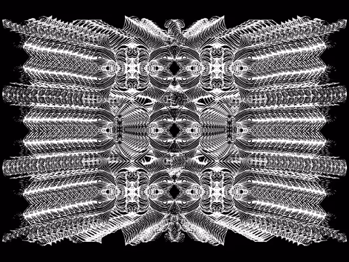 Item #76491592662230029825032283833065660411140051645212131557816197243977754214401 Media