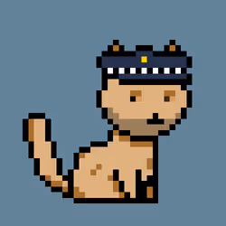 PunkCat #343