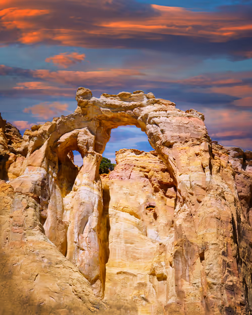 Item #101131428219737421258905358447066100782642881708767495255193714674988799229953 Media