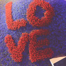 Field Of Love #31