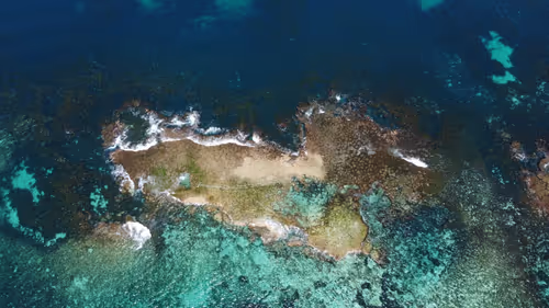 Item #19706736647229879656822454132754720829342414100240411727761358870563140927489 Media