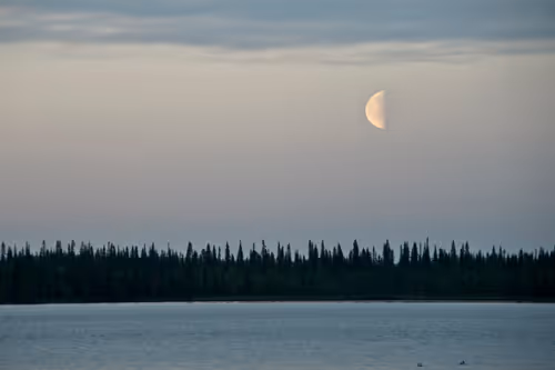 Item #74044223418963058719430139109127574928607342041478017501753412574158262370305 Media