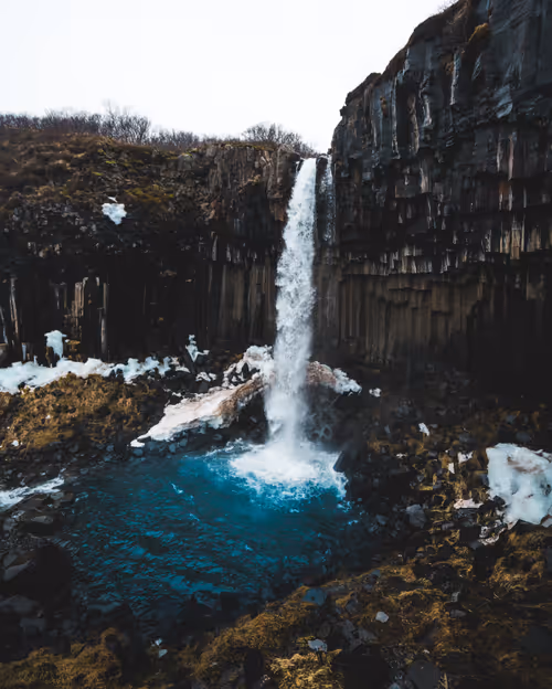 Item #71348397378810690825618428912408306798479722983811327082816877923603843121153 Media