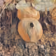 88159474278040781364026816887642860733151997131637457301100969822759881277441