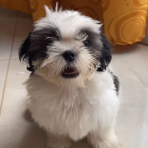 13462880375736893595917131301083283062015048493452480637823861920432862003201