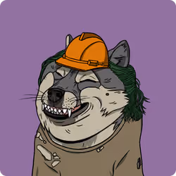 DOGE 119