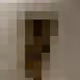 2850415134272365380187775685678842410458265265709128331682257556853305114625