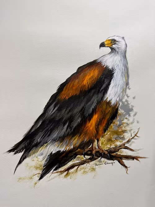 Item #4288309145407295523431116215122397111529594114986911850026632796952783224852 Media