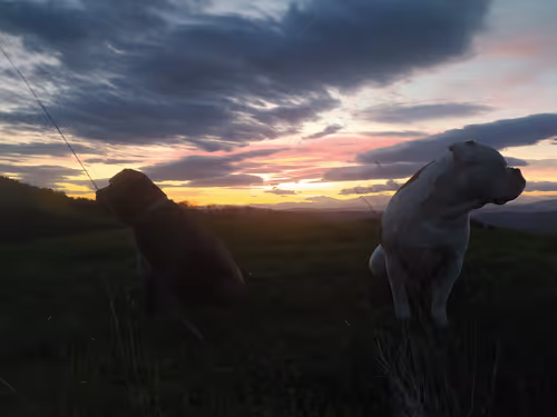 Item #64216842131992229797259626202316487789651441699204401024827468244947707101185 Media