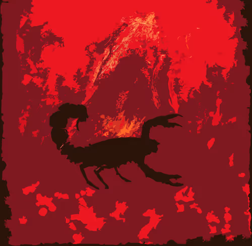 Item #31545483313136688642657984552650820670295641519181076477123279144017140383745 Media