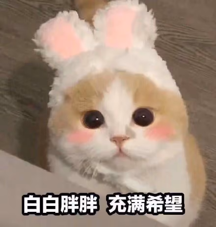 qqq74