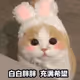 qqq74
