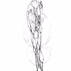 Just Anatomy -2-