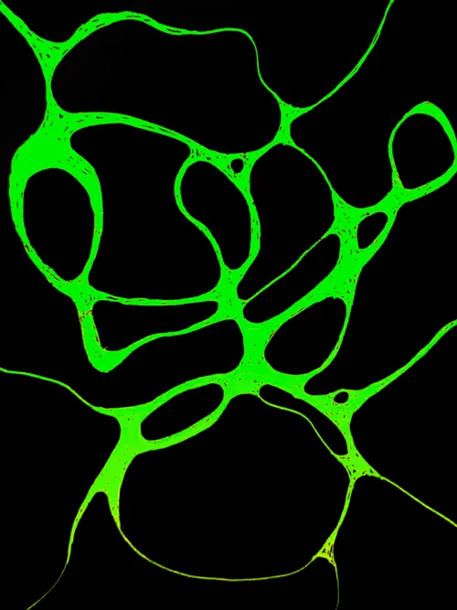 Item #60447415217477959408772772467770452871177809879771206339827648270382512734209 Media