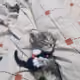 44251676443005415657312147816140044330487062824043546150603285304566779740161