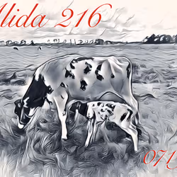 106168068867162485094593885732241547229015412580842941571810197388914203820033