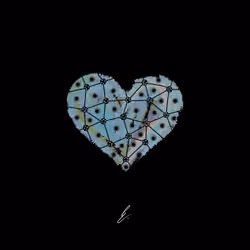Valentine FOURTEEN - 2/3