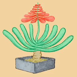 bloom 2