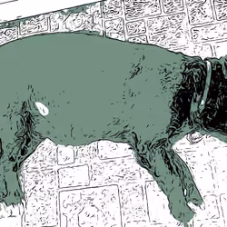 Fat Booger (sleepingdog)