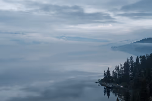 Item #41013704286635162959004487776095067176603519769359421915548602777973737652225 Media