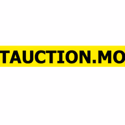 NFTAUCTION.MOBI domain