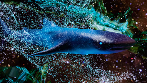 Item #34407012467013264369072826680281558624243883765584913843852975014369036337153 Media