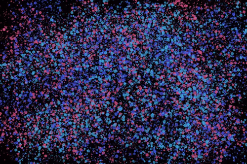 Item #944858660688572096584618472555991747686703840338442188877309518097128882177 Media