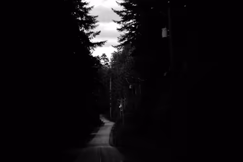 Item #9120212916765116150568675881713414537423652719211967924258503616602193264641 Media