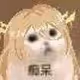 sss36
