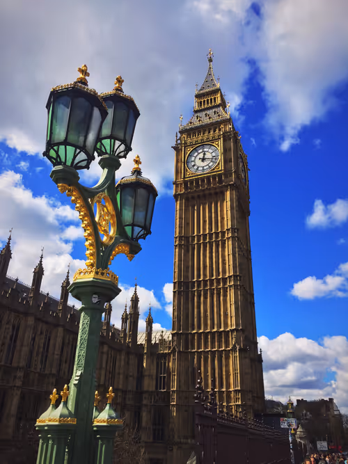 Item #51690675638909644790966826113213763437997288927381309606437552009984096600065 Media