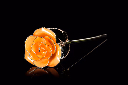 Item #22969295015453494261367825121290153757090535459802507599951433496949801615361 Media