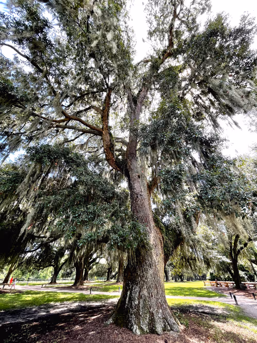 Item #60286361363657250857601775030637471218171117852543341295073304065728055345153 Media