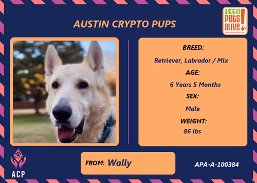 Item #17951378556605612276483806045649535824451571419947225201384628555731966099457 Media