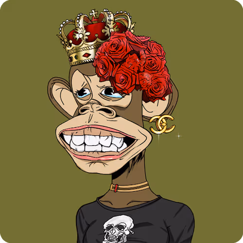 Lions_Grip Collection