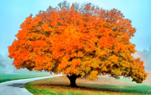 Item #105603725609947989499044129472074064723412167009068320432332286918530405761025 Media