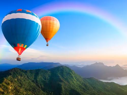 Untitled Collection #14261764