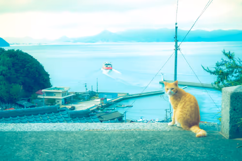 Item #87724672545568216492349628543176573267958151988335217142690977342207645712385 Media